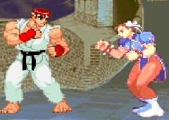 Street Fighter the World Warrior